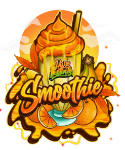Smoothie Feminized Cannabis Seeds