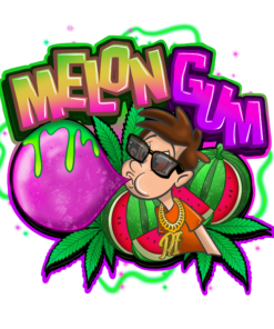 Melon Gum Feminized Cannabis Seeds