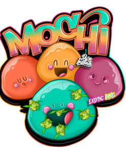 Alternative view of Mochi Feminized Cannabis Seeds - Exotic Line