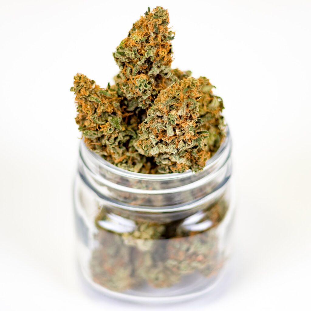 Master the Curing Phase for Perfectly Potent Marijuana Buds