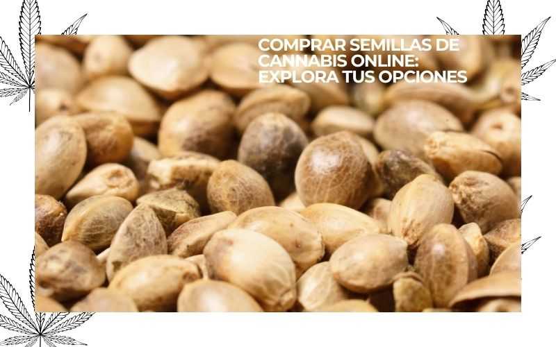 buy cannabis seeds online