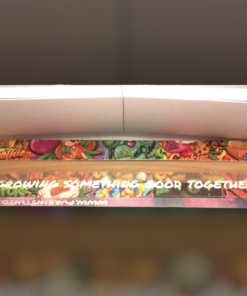 Pure Instinto rolling paper open