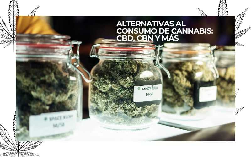 cannabis consumption alternatives