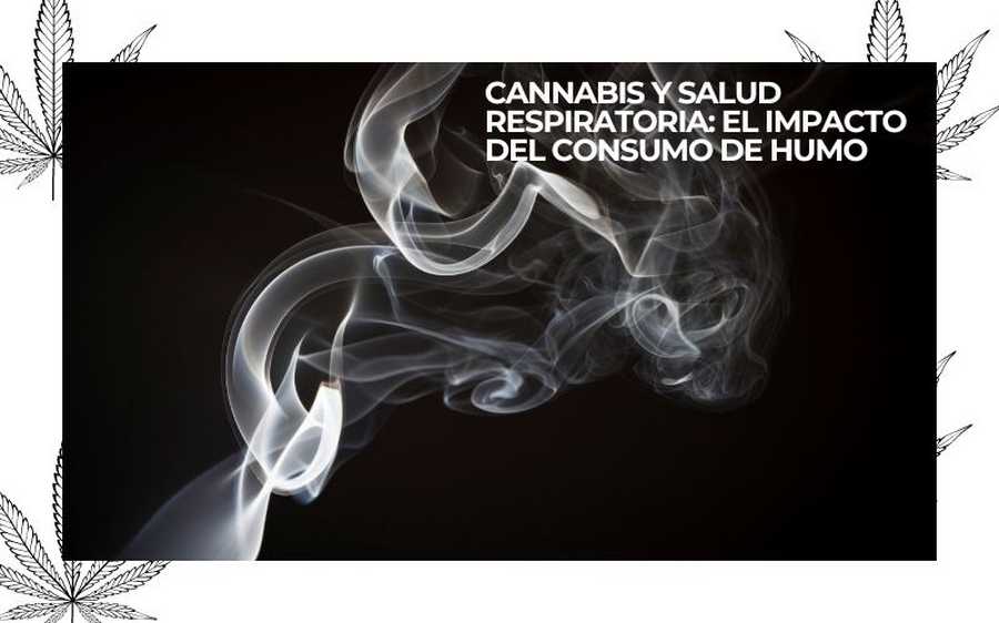 cannabis and respiratory health