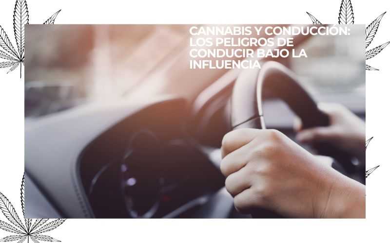 Cannabis and Driving