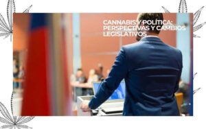 cannabis y política