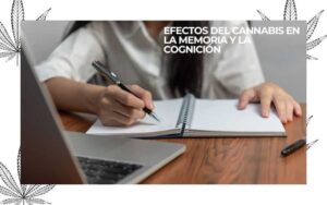 cannabis memoria