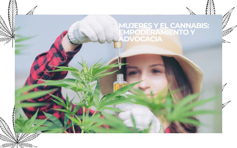 mujeres y cannabis