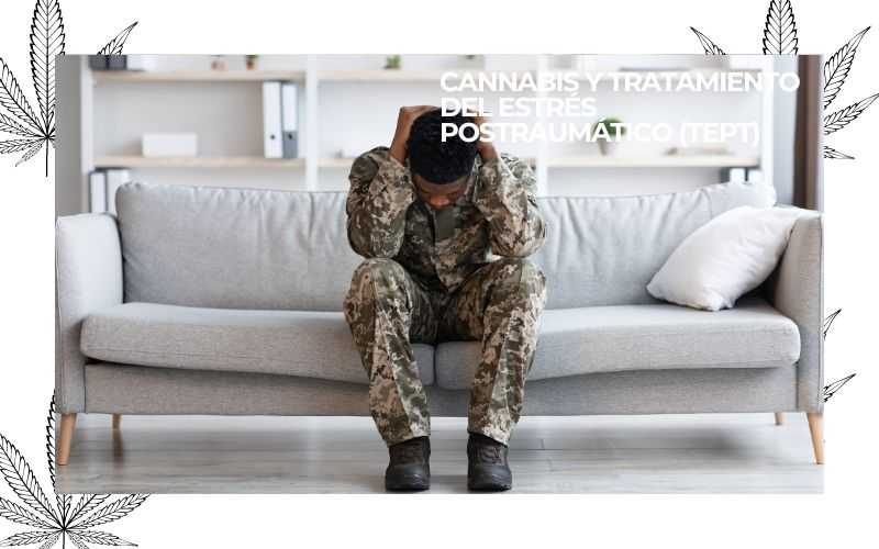 cannabis and post-traumatic stress