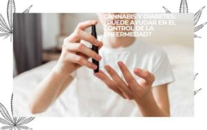 cannabis y diabetes