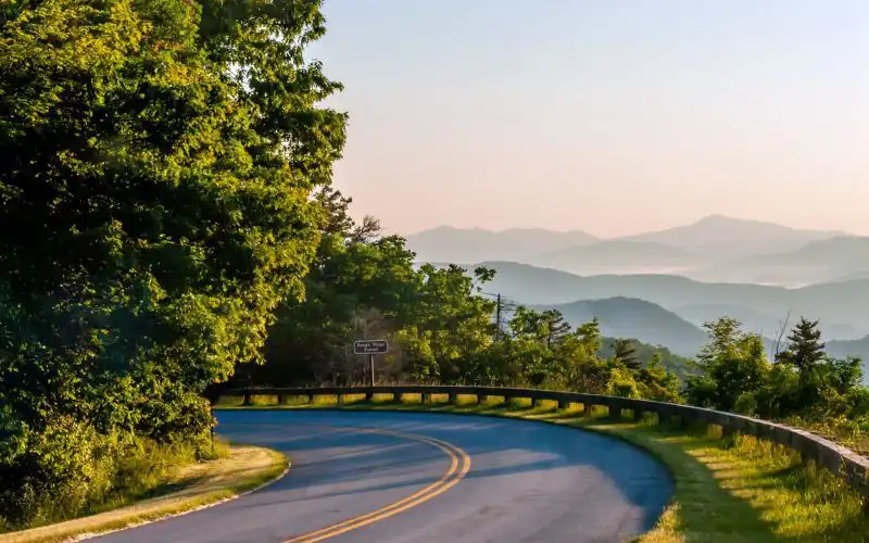 cannabis seguridad vial 