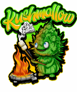 Alternative view of Kushmallow feminized cannabis seeds