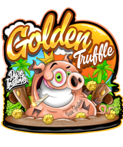 Alternative view of Golden Truffle- Feminized Cannabis Seeds - Yuzuza Line